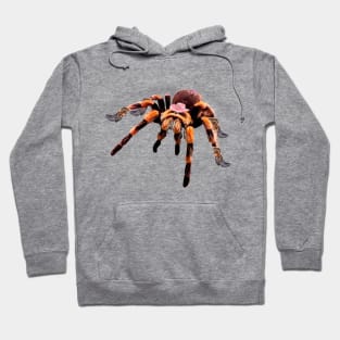 Cowgirl Spider Hoodie